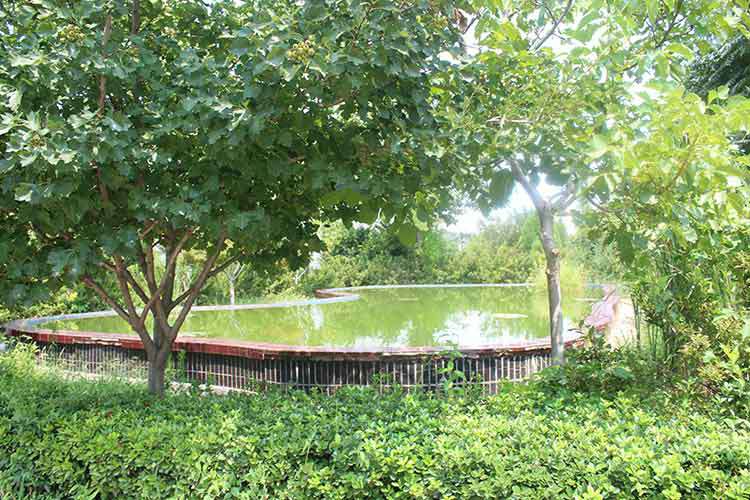 扬州健伟在线阅读平台有限公司机械厂区环境优美